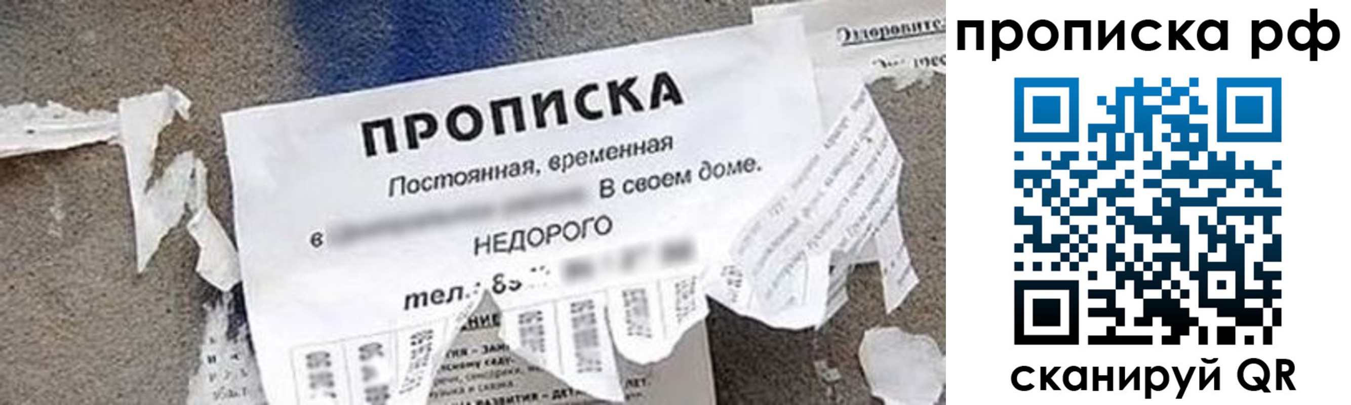 где прописаться в Клинцах